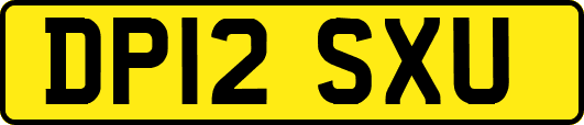 DP12SXU
