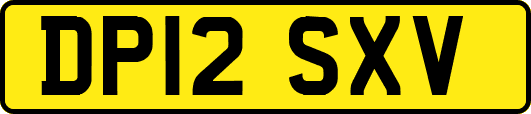 DP12SXV