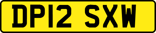 DP12SXW