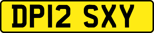 DP12SXY