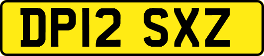 DP12SXZ