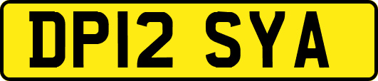 DP12SYA