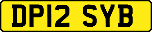 DP12SYB