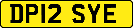 DP12SYE