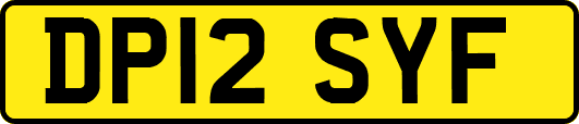 DP12SYF