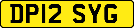 DP12SYG