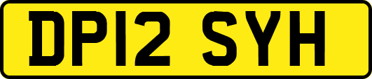 DP12SYH