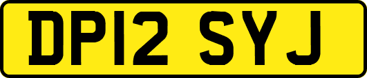 DP12SYJ
