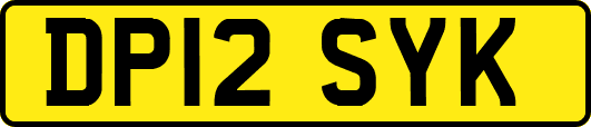 DP12SYK