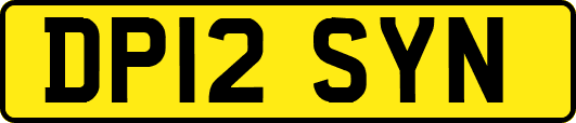 DP12SYN