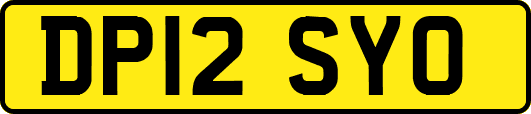 DP12SYO