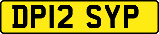 DP12SYP