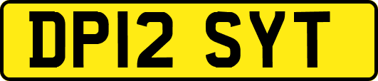 DP12SYT