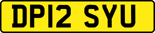 DP12SYU