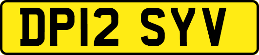 DP12SYV