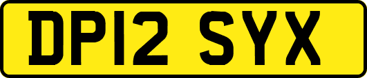 DP12SYX