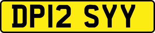 DP12SYY