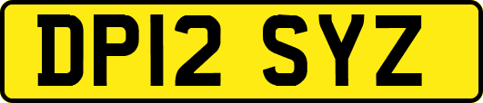 DP12SYZ