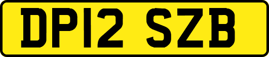 DP12SZB