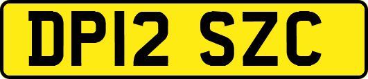 DP12SZC