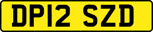 DP12SZD