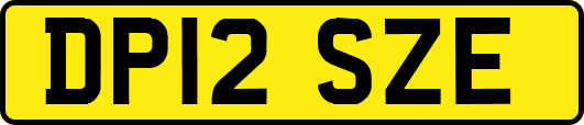 DP12SZE