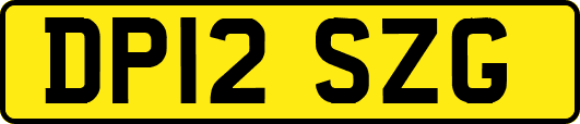 DP12SZG