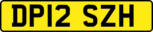 DP12SZH