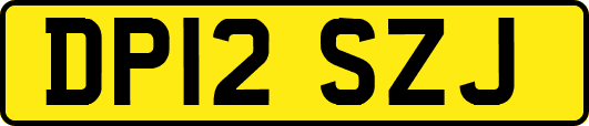 DP12SZJ