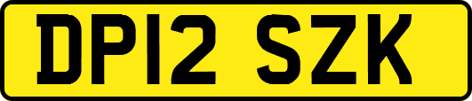 DP12SZK