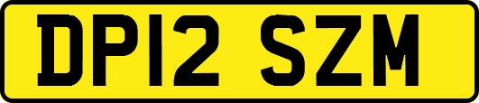 DP12SZM