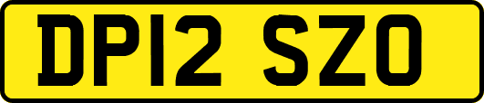 DP12SZO