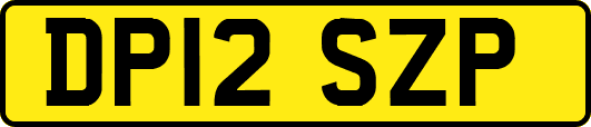 DP12SZP