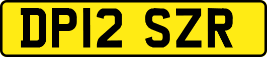 DP12SZR