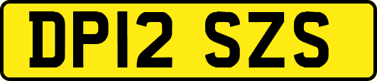 DP12SZS