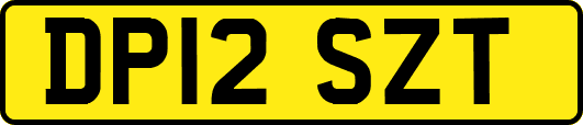 DP12SZT