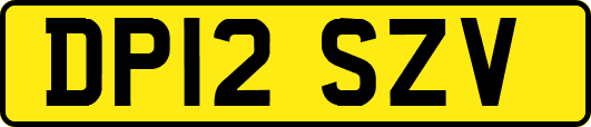 DP12SZV