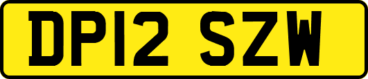 DP12SZW