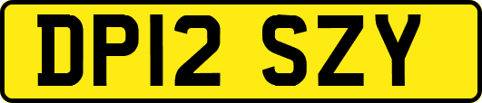 DP12SZY