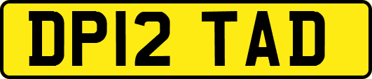 DP12TAD