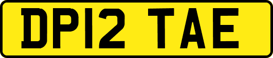 DP12TAE