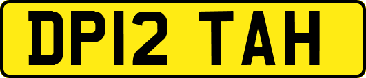 DP12TAH