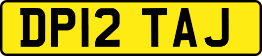 DP12TAJ
