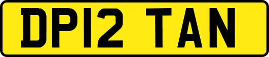 DP12TAN