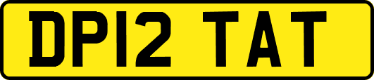 DP12TAT