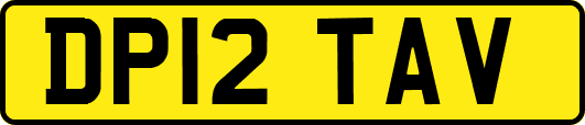 DP12TAV