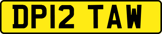 DP12TAW