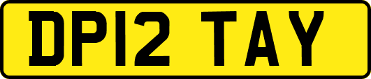 DP12TAY