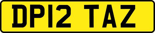 DP12TAZ
