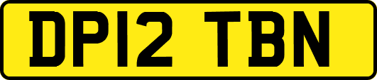 DP12TBN